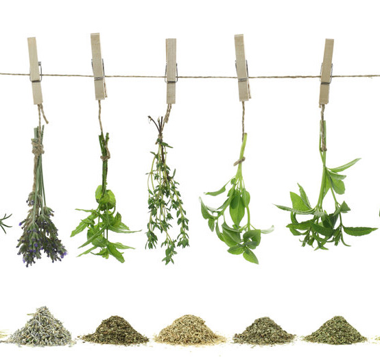herbs hanging
