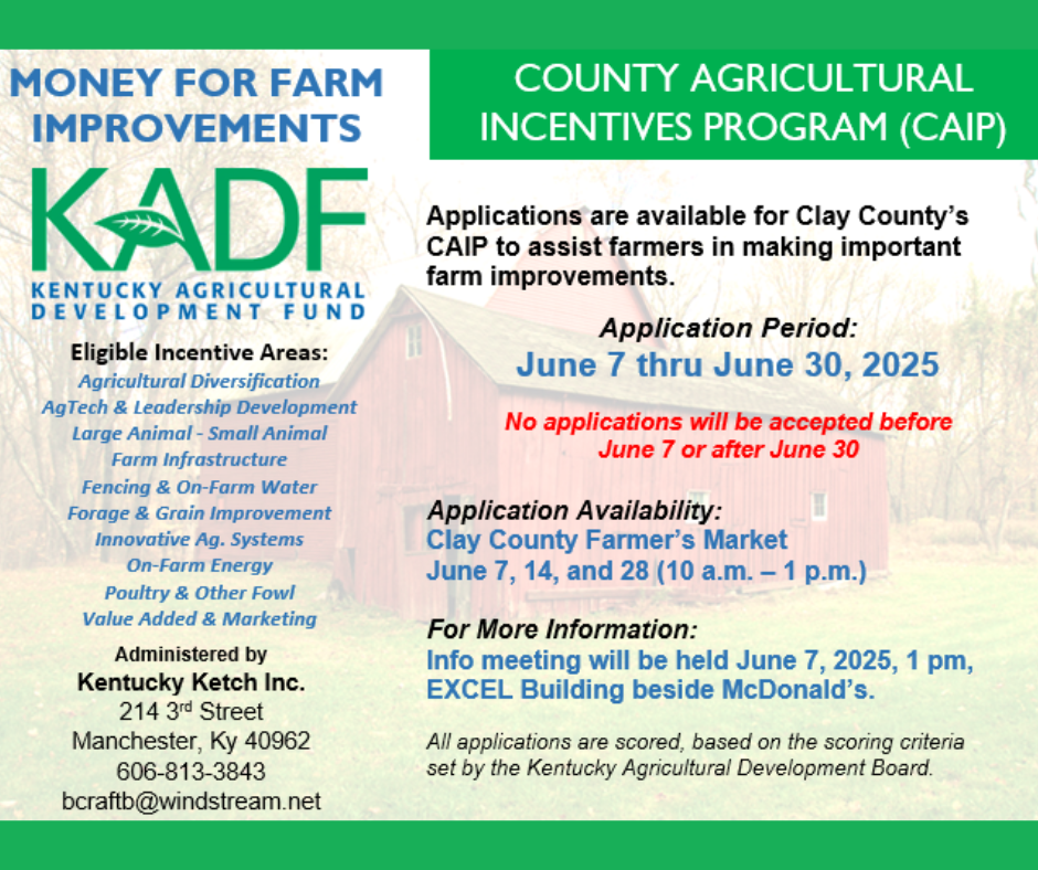 CAIP flyer
