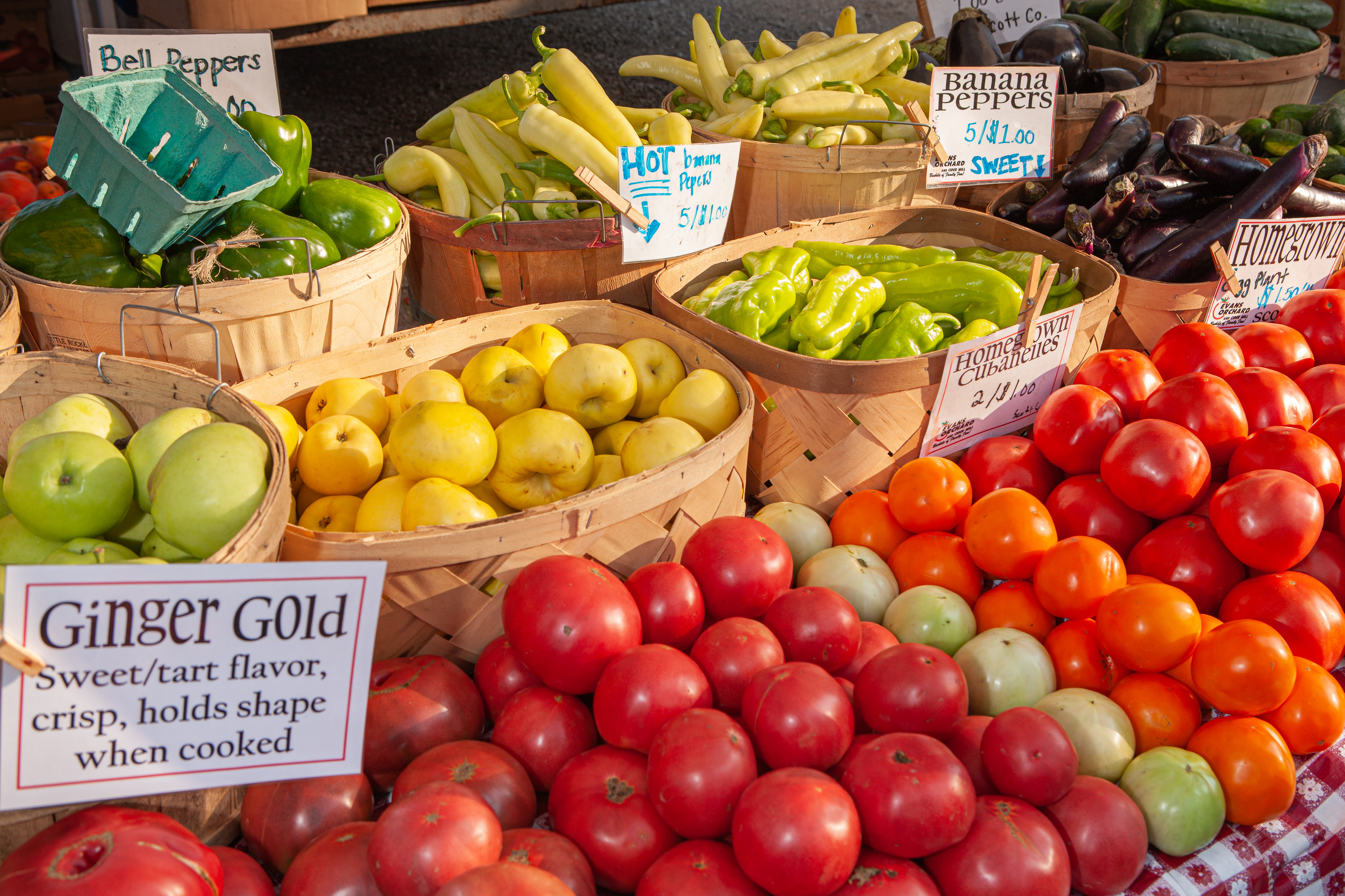 Vegetables at the Farmers Market