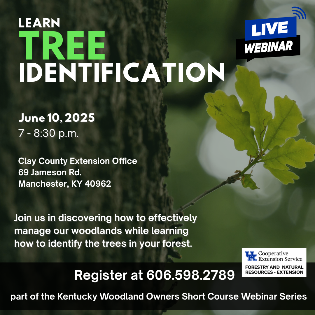 Tree Identification Facebook post