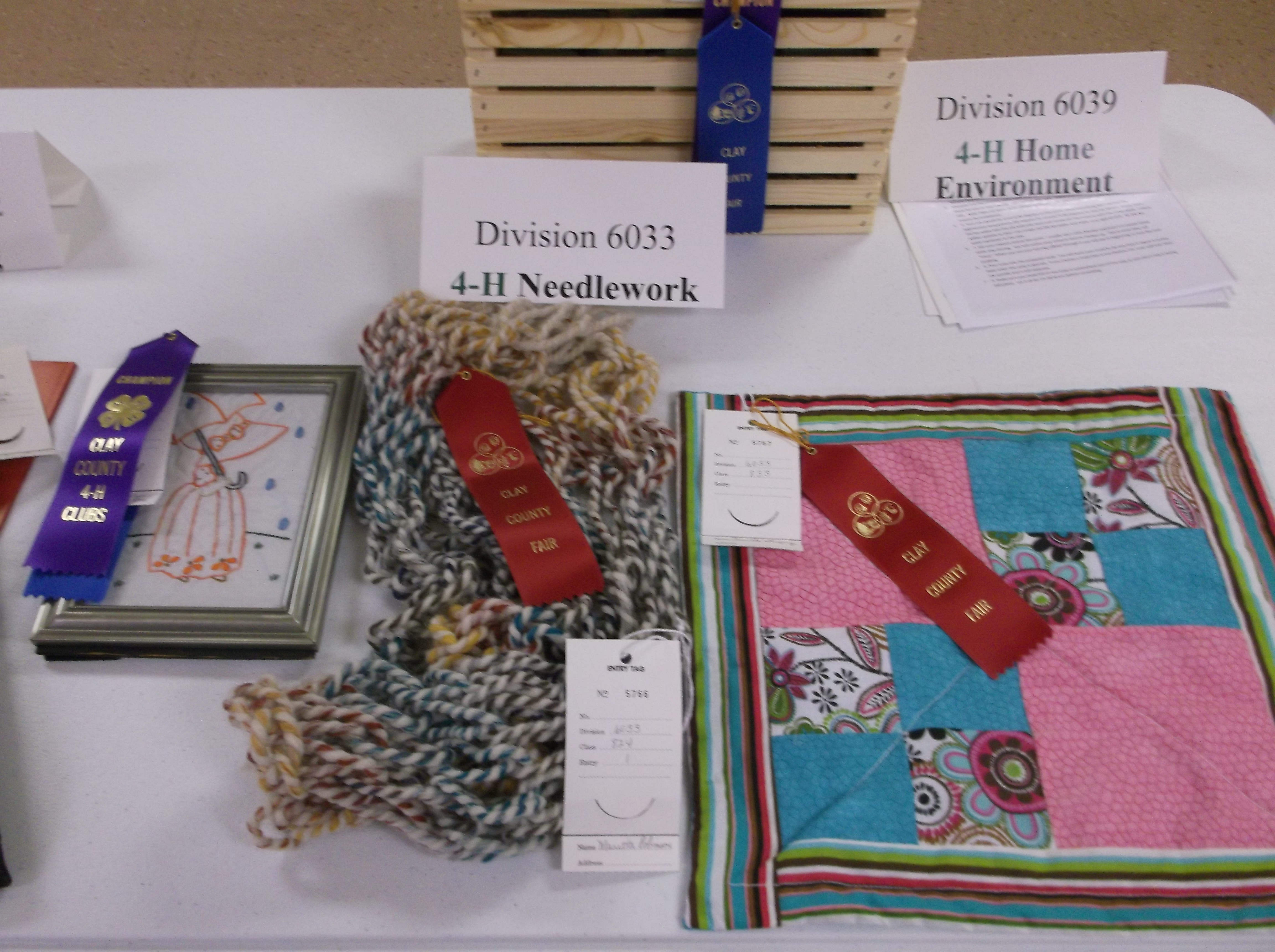 4H Project items in county showcase