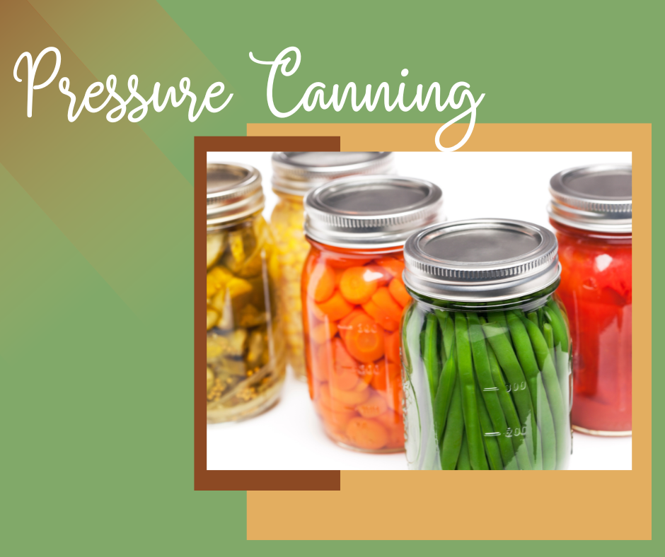 Canning jars containing homegrown vegetables
