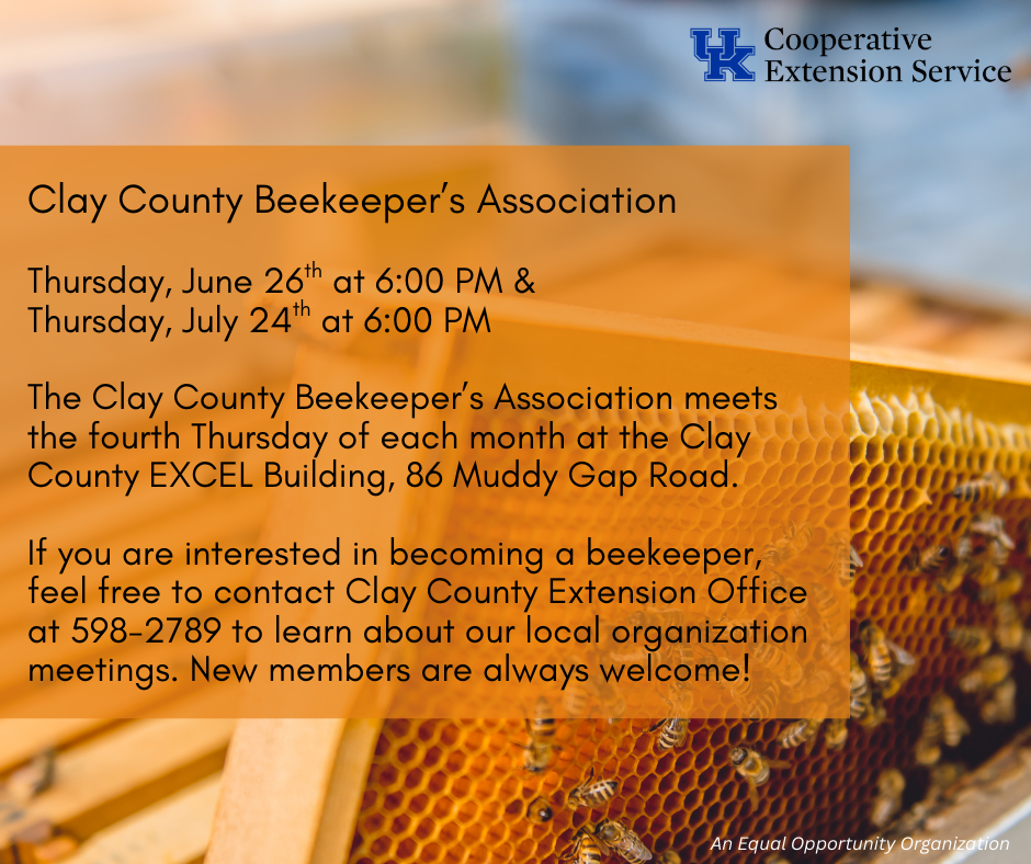 Clay County Beekeepers Association flyer