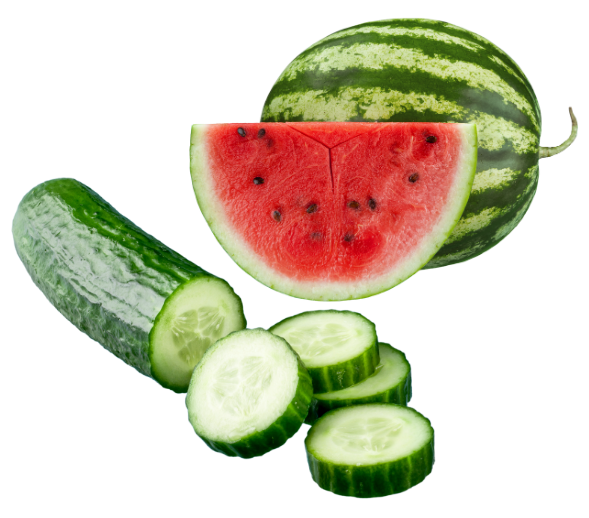 Cucumber and watermelon
