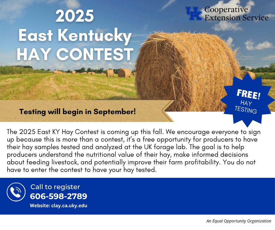 Hay Contest graphic