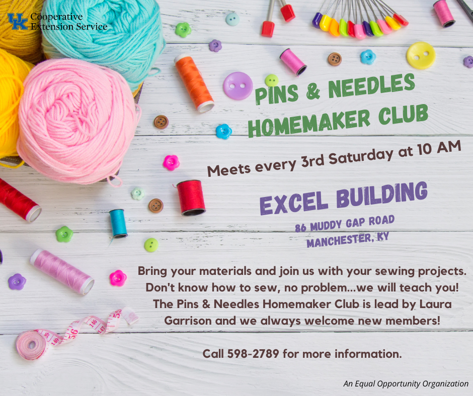 Pins & Needles flyer