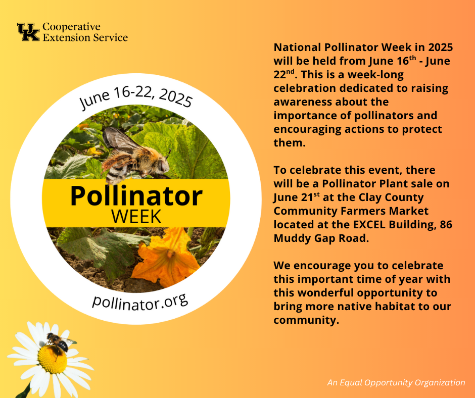 Pollinator Plant Sale flyer