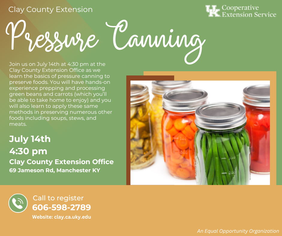 Pressure Canning flyer