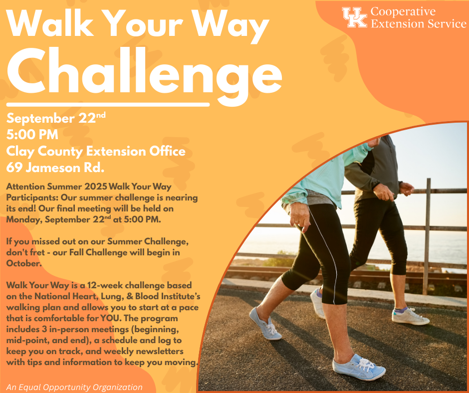 Walk Your Way Challenge social media post