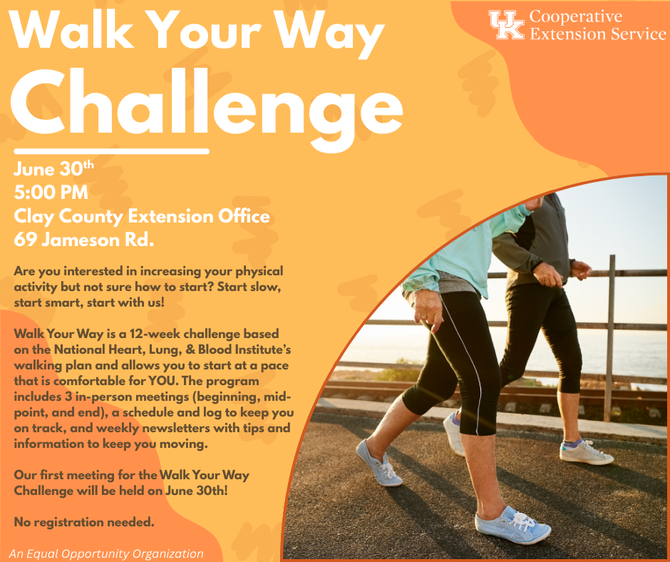 Walk you Way Challenge flyer
