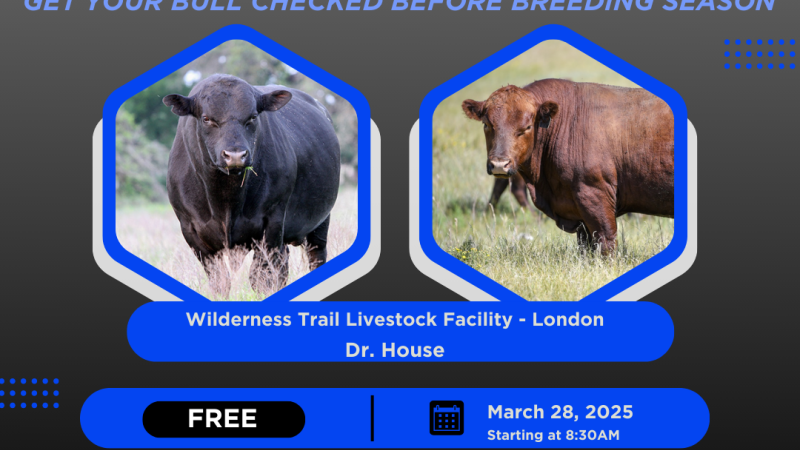 Breeding Soundness Exam Clinic flyer