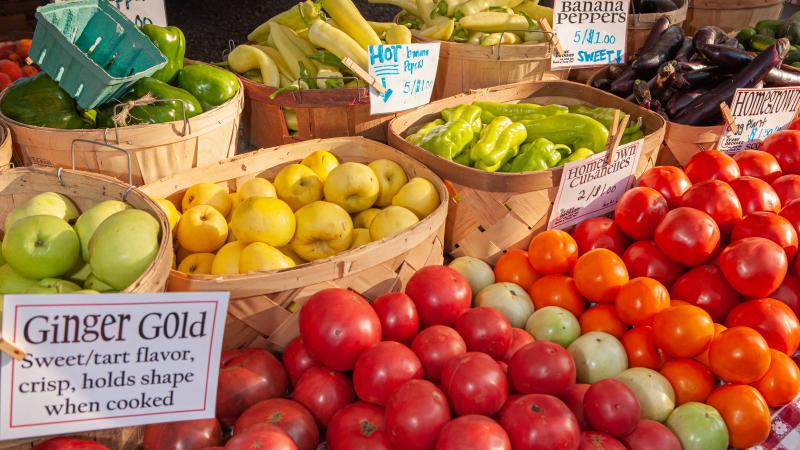 Vegetables at the Farmers Market