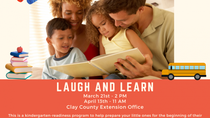 Laugh and Learn flyer