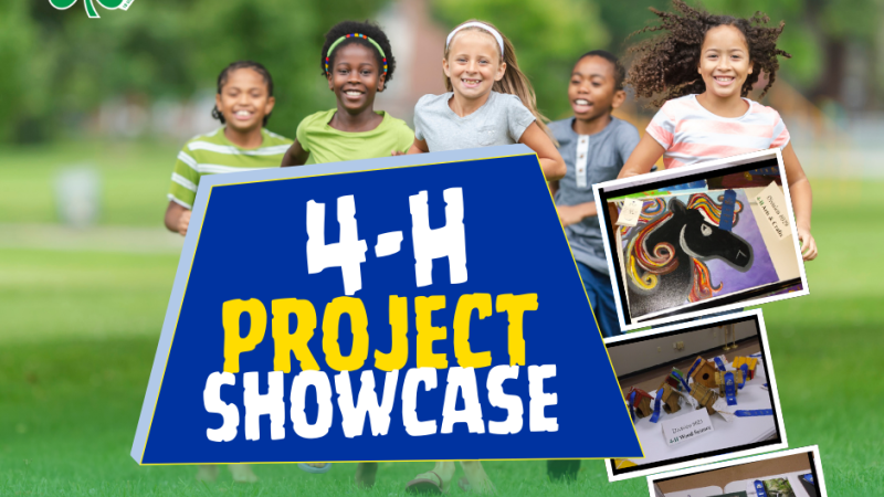 Kids running & youth projects