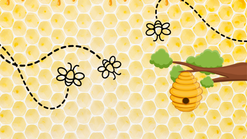 Honeycomb and bees clipart