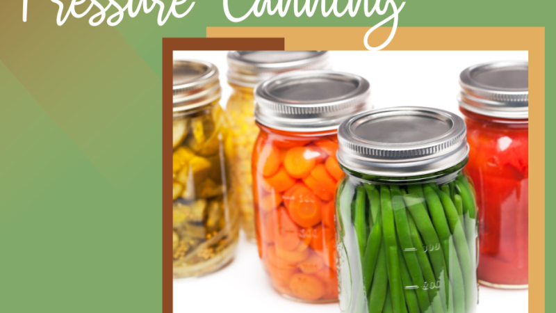 Canning jars containing homegrown vegetables