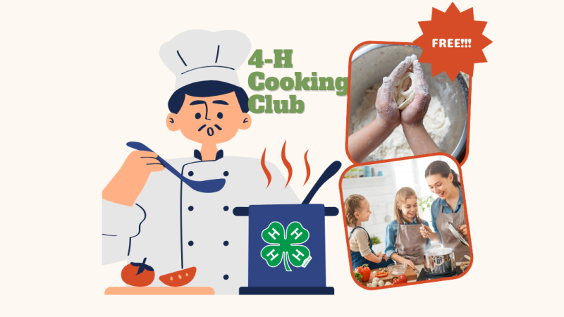 Chef cooking